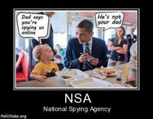 nsa-national-spying-agency-politics-1374300028