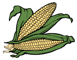 DO NOT CRUCIFY THE CAUC-- -- USES ON THIS CROSS OF CORN!