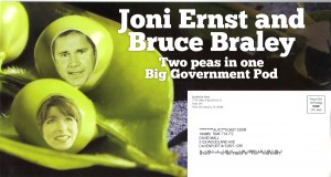 jacobs attack ernst braley peas in pod1