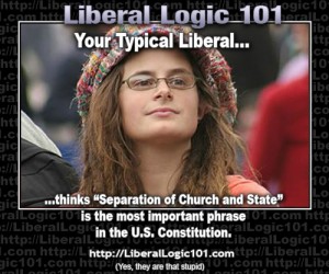 liberal-logic-101-319