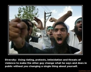 diversity-at-work-diversity-muslims-who-won-t-assimilate-pro-demotivational-poster-1242251672