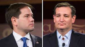 Rubio seen as the candidate of boyish good looks, eager to please, desires to be at center of things, prone to get along rather than make a difference. A record of being concerned with doing the biding of those who are essentially bullies. Cruz a candidate devoted to Constitutional republic and therefore despised by the business as usual types who find the other malleable. 