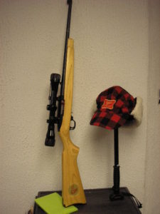 Small game Ruger 10-22 semi-automatic "hunting rifle". Ten round detachable magazine standard. OK by some liberals.